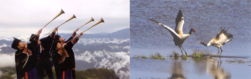 1469068982104825.jpg 1469068982104825.jpg