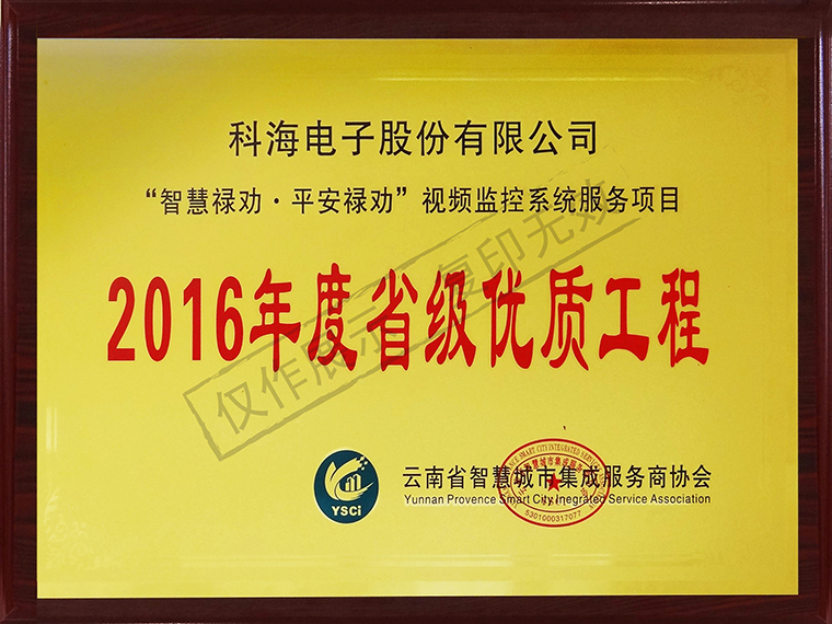 13-智慧禄劝 平安禄劝 视频监控系统服务项目2016年省级优质工程11.jpg