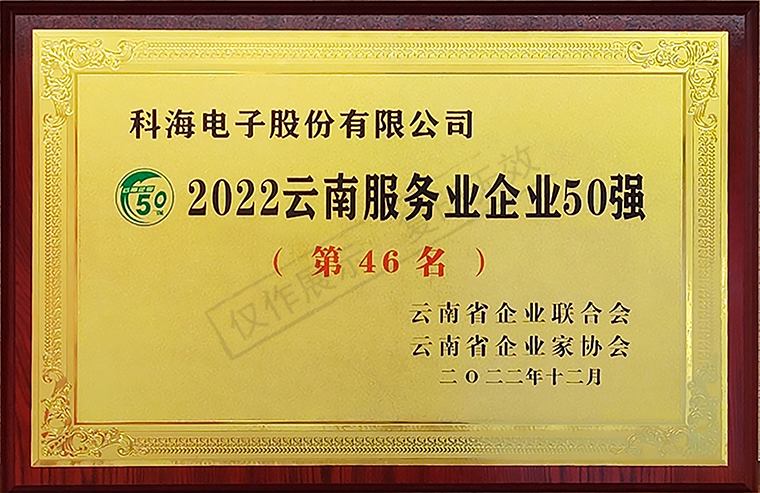 2022云南服务业企业50强-牌匾.jpg